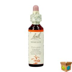 BACH FLOWER REMEDIE 20 MIMULUS 20ML