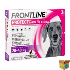 FRONTLINE PROTECT SPOT ON OPL HOND 20-40KG PIPET 3