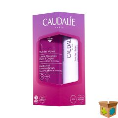 CAUDALIE DUO LIPHAND THE VIGNES 4,5G+30ML PROMO