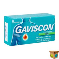 GAVISCON MUNT KAUWTABL 48X250MG