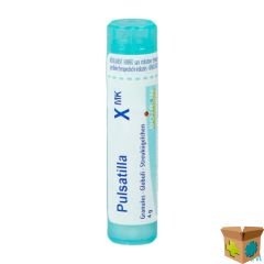 PULSATILLA XMK GR 4G BOIRON