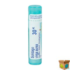 SOLIDAGO VIRGAUREA 30K GR 4G BOIRON
