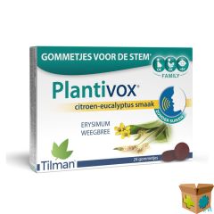 PLANTIVOX PASTILLES 24