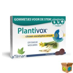 PLANTIVOX PASTILLES 24