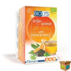 BIOLYS GROENE THEE CITROENVRUCHTEN SACH 24