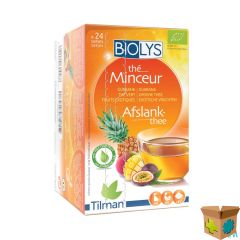 BIOLYS GUARANA GR. THEE EXOTISCH VRUCHTEN ZAKJE 24