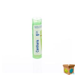 CANTHARIS 5CH GR 4G BOIRON