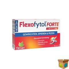 FLEXOFYTOL FORTE FILMOMH TABL 28 NF