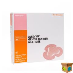 ALLEVYN GENTLE BORDER STER 17,5X17,5CM 10 66800273