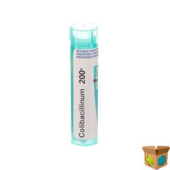 COLIBACILLINUM 200K GR 4G BOIRON