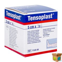 TENSOPLAST BAND. 4037 5 CMX2,75M