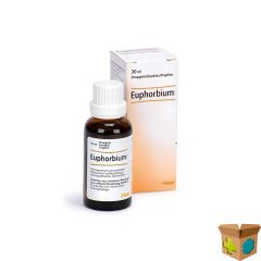 EUPHORBIUM-HEEL COMP.S GUTT 30ML HEEL