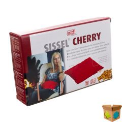 SISSEL CHERRY KERSENPITKUSSEN 20X40CM ROOD
