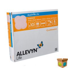 ALLEVYN LIFE VERB 21,0X21,0CM 10 66801070