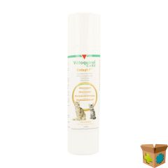 ENISYL F ORALE PASTA KAT 100ML