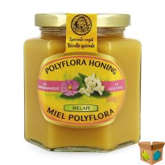 MELAPI POLYFLORA+KONINGINNEBRIJ 500G 5534 REVOGAN