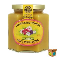 MELAPI HONING POLYFLORA ZACHT 500G 5531 REVOGAN