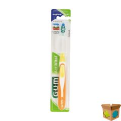 GUM ACTIVITAL COMP TANDENB MEDIUM 583