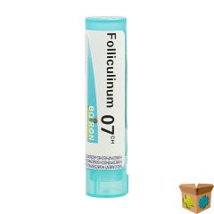 FOLLICULINUM 7CH GR 4G BOIRON