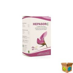 HEPASOR CT COMP 60