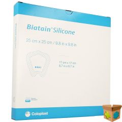 BIATAIN SILICOON ADHESIVE STER 25,0X25,0CM 5 33405