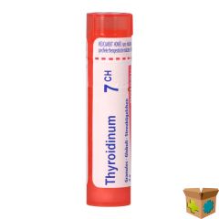 THYROIDINUM 07CH GR 4G BOIRON