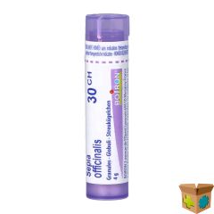 SEPIA OFFICINALIS 30CH GR 4G BOIRON