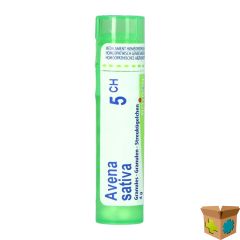 AVENA SATIVA 05CH GR 4G BOIRON