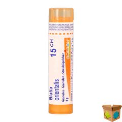 BLATTA ORIENTALIS 15CH GR 4G BOIRON