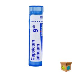 CAPSICUM ANNUUM 9CH GR 4G BOIRON