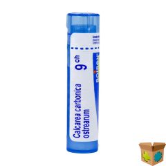 CALCAREA CARBONICA OSTREARUM 9CH GR 4G BOIRON