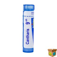 CANTHARIS 9CH GR 4G BOIRON