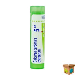 CALCAREA CARBONICA OSTREARUM 5CH GR 4G BOIRON