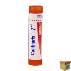 CANTHARIS 7CH GR 4G BOIRON