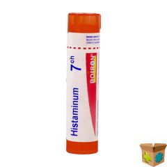 HISTAMINUM 7CH GR 4G BOIRON