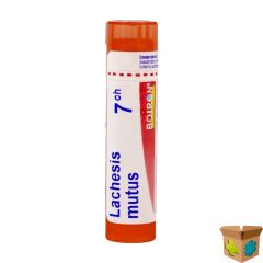 LACHESIS MUTUS 7CH GR 4G BOIRON