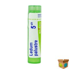 LEDUM PALUSTRE 5CH GR 4G BOIRON