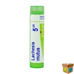 LACHESIS MUTUS 5CH GR 4G BOIRON
