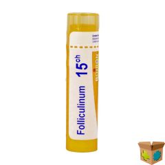 FOLLICULINUM 15CH GR 4G BOIRON
