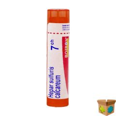 HEPAR SULFURIS CALCAREUM 7CH GR 4G BOIRON