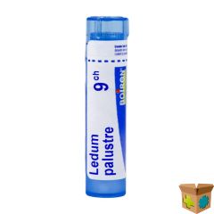 LEDUM PALUSTRE 9CH GR 4G BOIRON