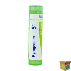 PYROGENIUM 5CH GR 4G BOIRON