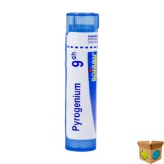 PYROGENIUM 9CH GR 4G BOIRON