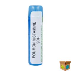POUMON HISTAMINE 9CH GR 4G BOIRON