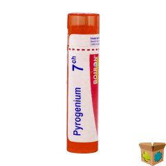 PYROGENIUM 7CH GR 4G BOIRON
