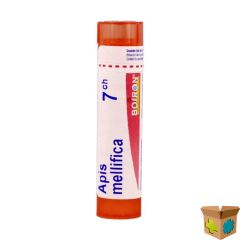 APIS MELLIFICA 7CH GR 4G BOIRON