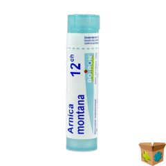 ARNICA MONTANA 12CH GR 4G BOIRON
