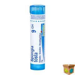 SPONGIA TOSTA 9CH GR 4G BOIRON