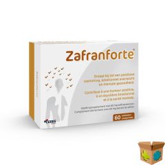 ZAFRANFORTE COMP 60
