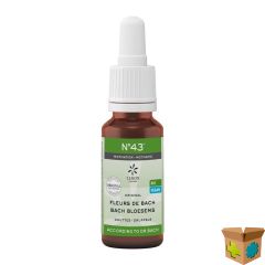 BACHBLOESEM BIO N43 DRUPPELS MOTIVATIE 20ML
